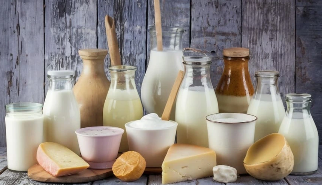Tipos de lácteos