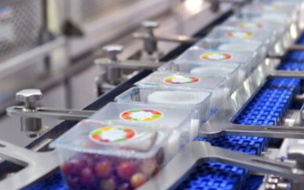 Nuevas tecnologías para conservar alimentos